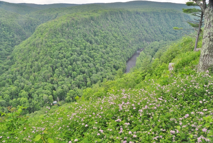 Pennsylvania Grand Canyon